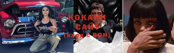 индика Пересвет