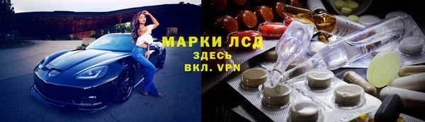 индика Пересвет