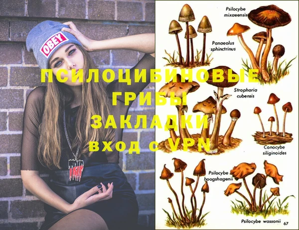 винт Галич