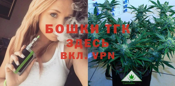 трава Переславль-Залесский