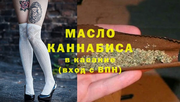 индика Пересвет