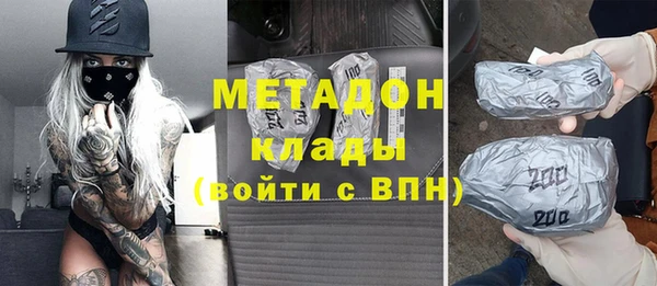 индика Пересвет