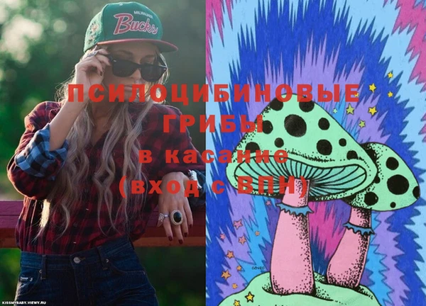 сатива Гвардейск